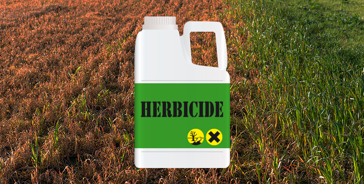 VA Disability Herbicides